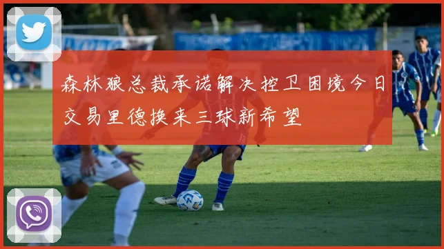 森林狼总裁承诺解决控卫困境今日交易里德换来三球新希望