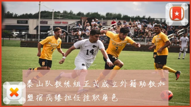 泰山队教练组正式成立外籍助教加盟宿茂臻担任挂职角色