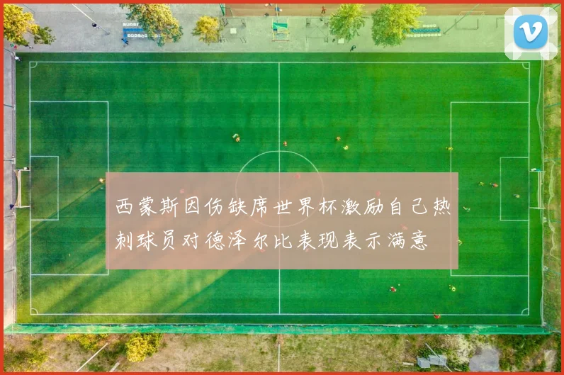 西蒙斯因伤缺席世界杯激励自己热刺球员对德泽尔比表现表示满意